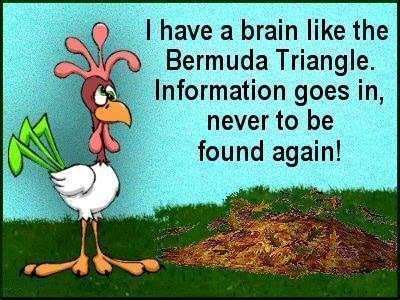 babyboomer humor